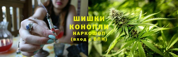 ГАЛЛЮЦИНОГЕННЫЕ ГРИБЫ Богданович