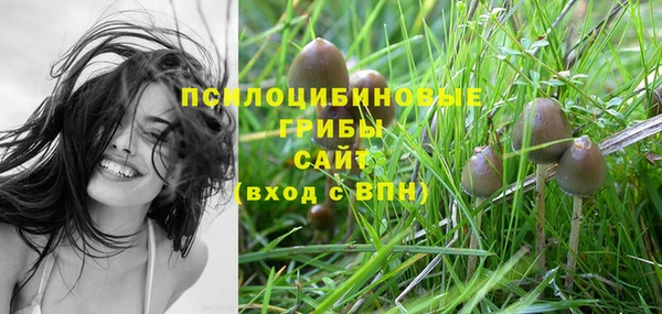 кокаин колумбия Богородицк