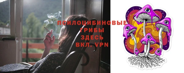 ГАЛЛЮЦИНОГЕННЫЕ ГРИБЫ Богданович