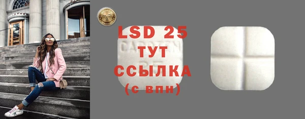 ГАЛЛЮЦИНОГЕННЫЕ ГРИБЫ Богданович