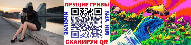 Псилоцибиновые грибы Psilocybe  Томмот 